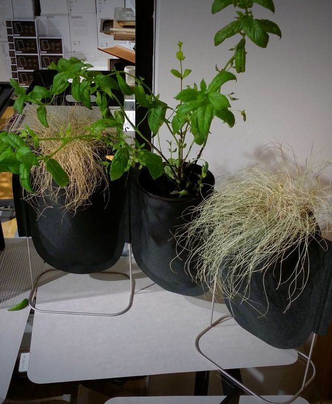 POSUDA ZA BILJKE PLANT BAG PATRICK NADEAU ZA AUTHENTICS