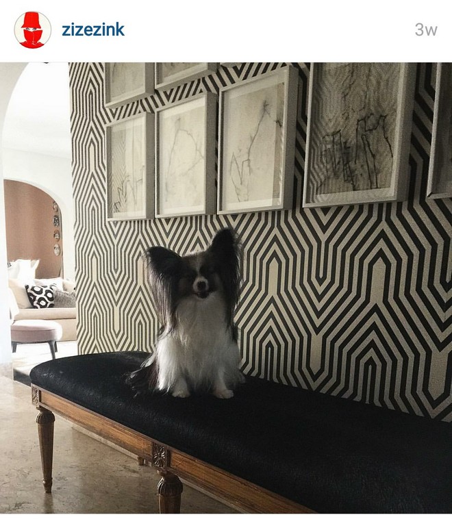 INSTA LIFE ZIZEZINK 36