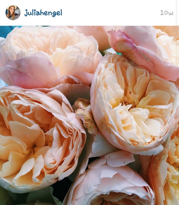 INSTA LIFE JULIA HENGEL 50