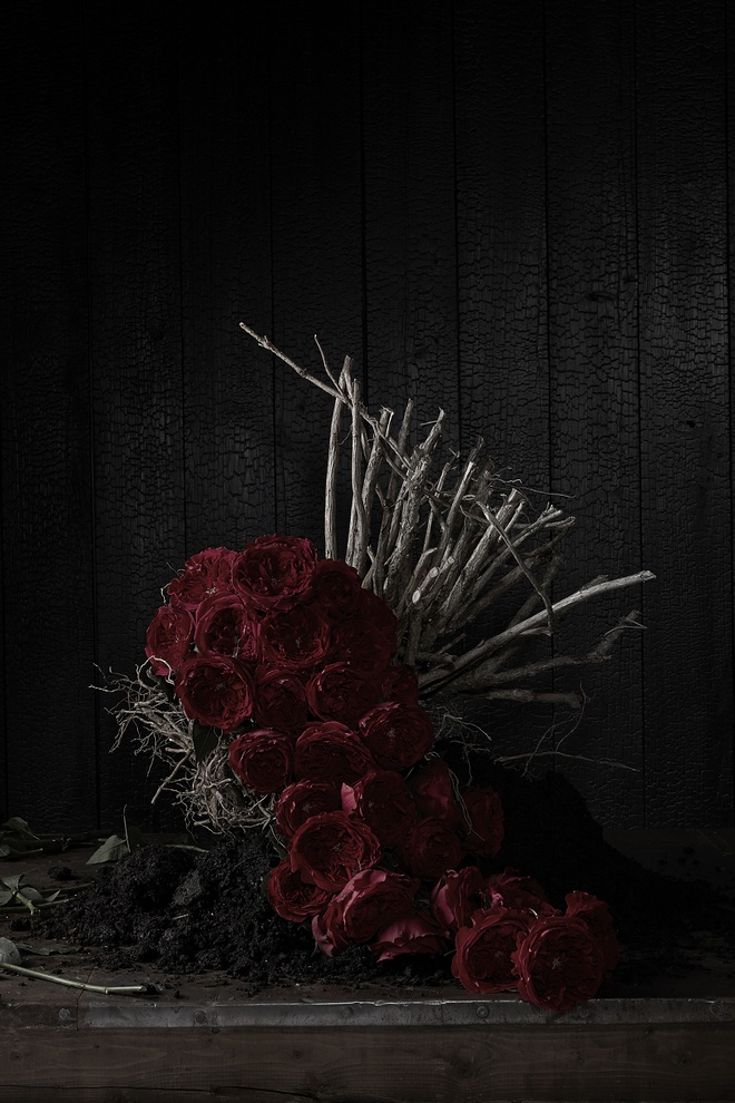 6 2