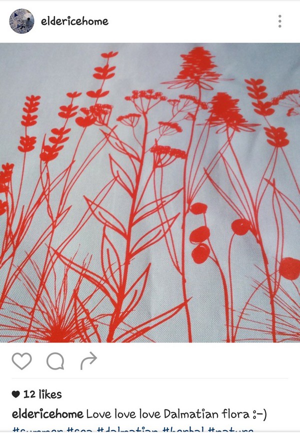 INSTA LIFE ELDERICE36