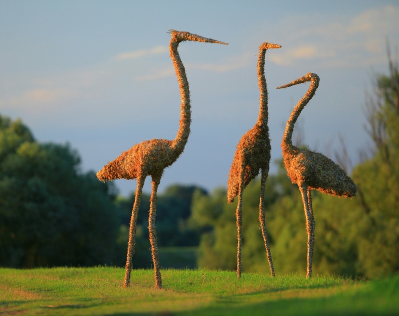 IMG 20160616 011711 resized