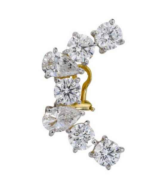 01 embed Cindy Chao Leaves cr