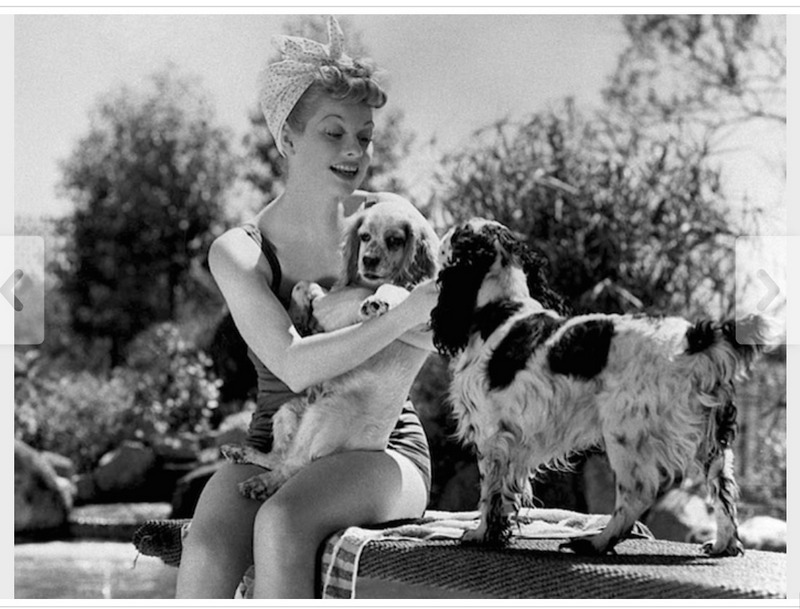 vintage landscape vintage love