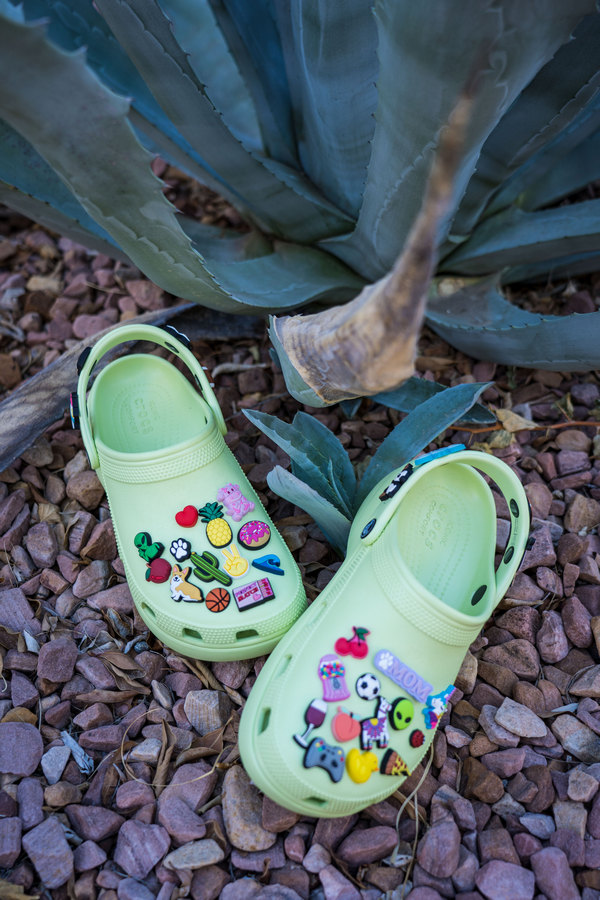 S2 2022 Palm Springs Still Life 603