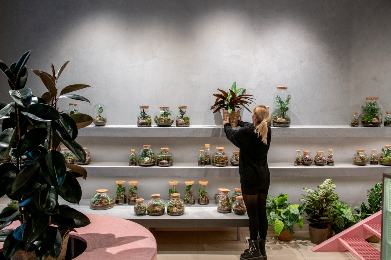 biljkeplants2