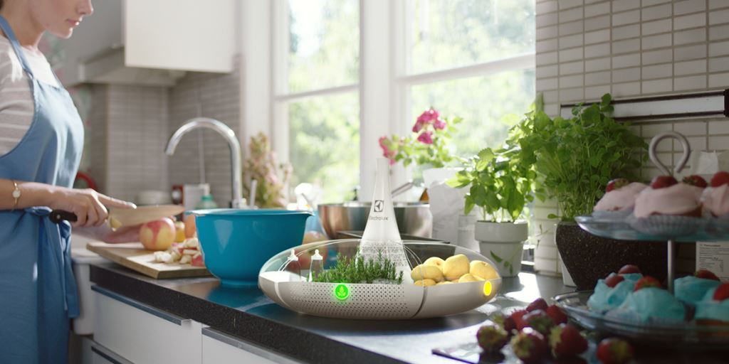 DesignLab-FinalistImages--Bloom