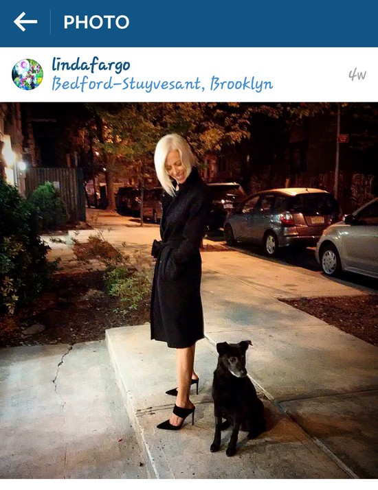 INSTA LIFE LINDA FARGO 12