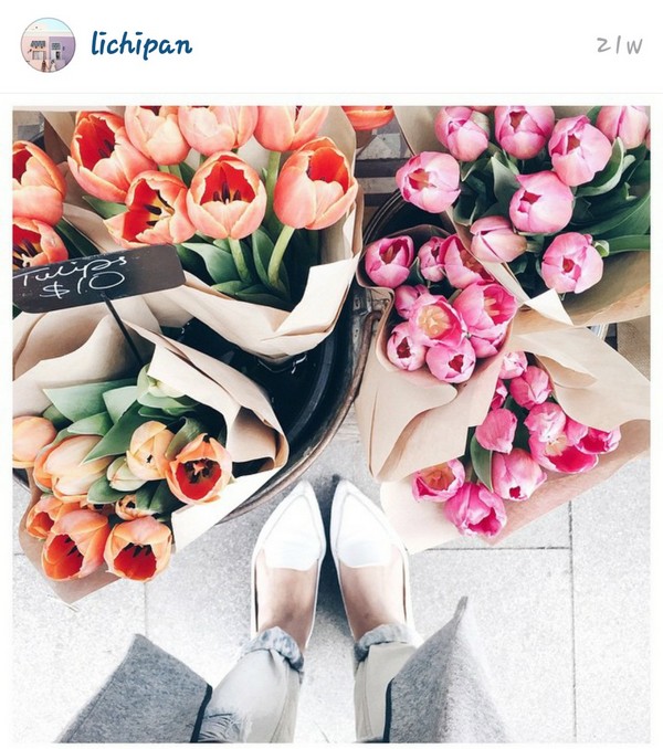 INSTA LIFE LICHIPAN 45