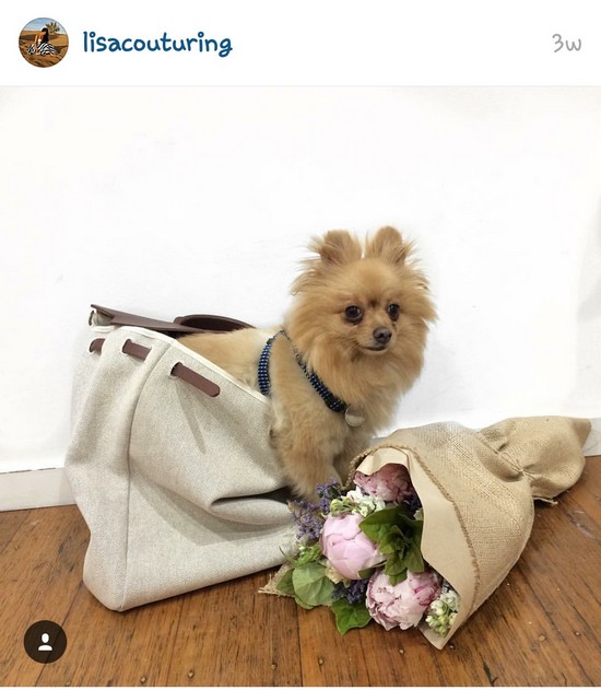 INSTA LIFE LISA COUTURING22