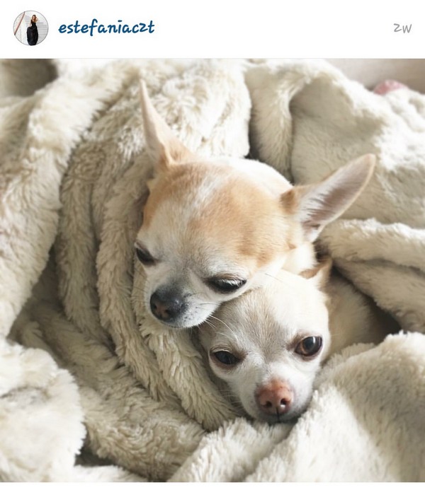 estefania garcia insta life 12