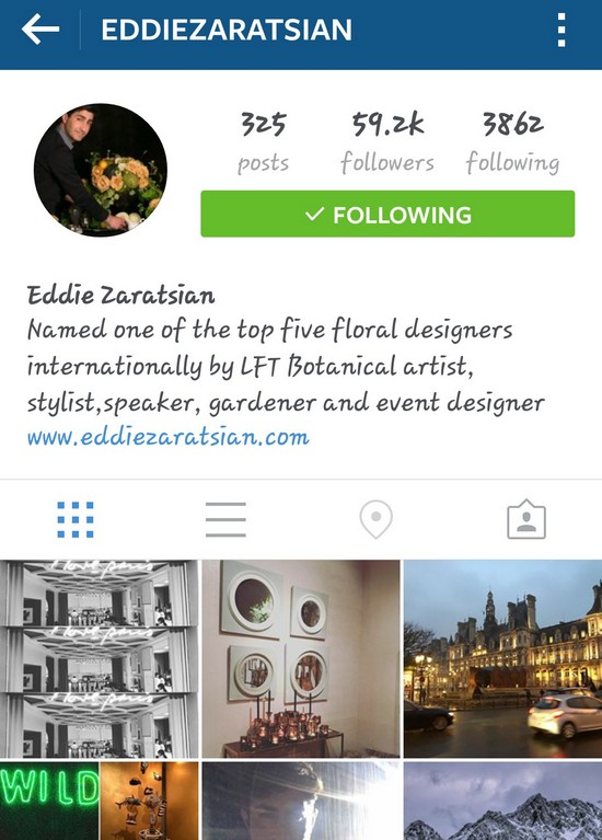INSTA LIFE EDDIE 1