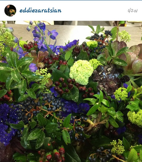 INSTA LIFE EDDIE 14