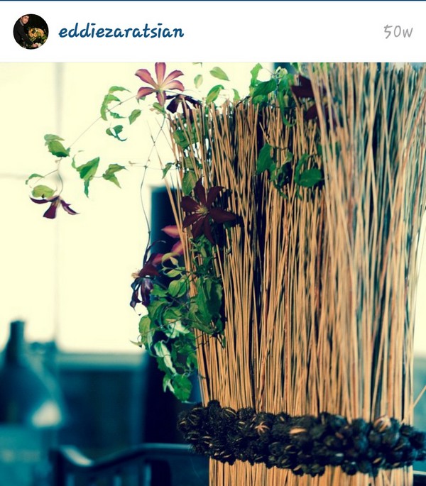 INSTA LIFE EDDIE 20