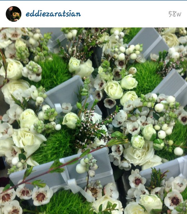 INSTA LIFE EDDIE 24