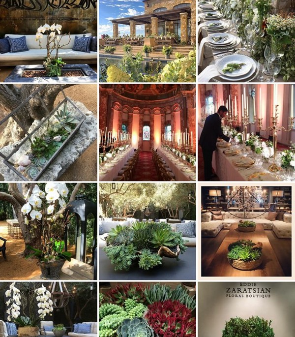 INSTA LIFE EDDIE 44