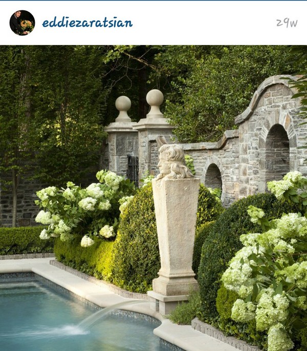 INSTA LIFE EDDIE 5