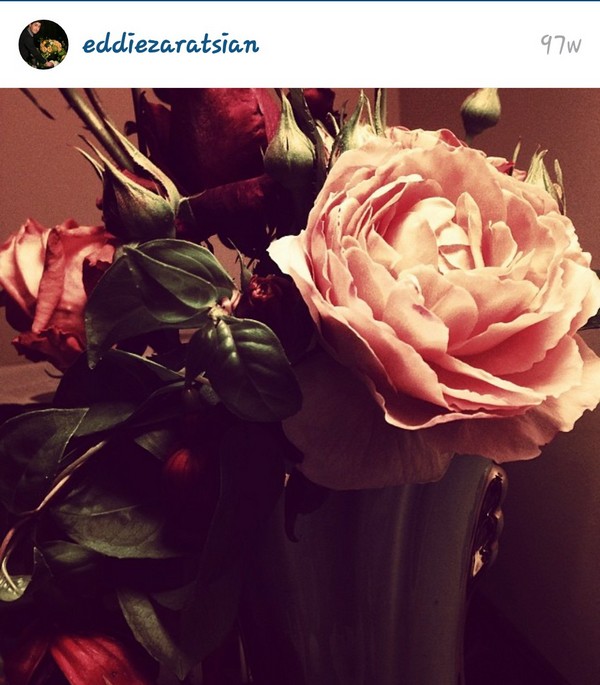 INSTA LIFE EDDIE 72