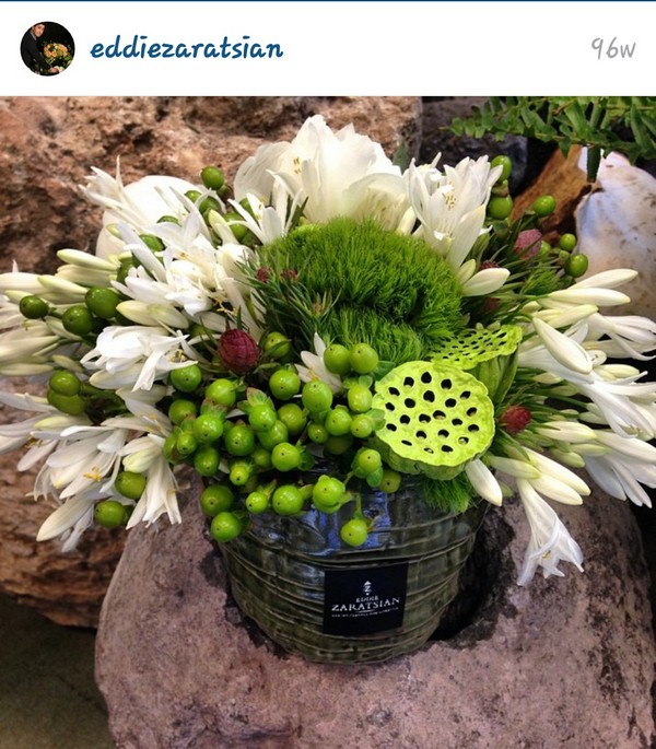 INSTA LIFE EDDIE 74