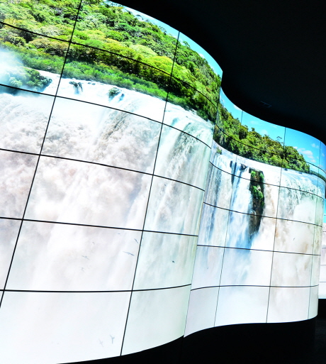 LG OLED Canyon 1