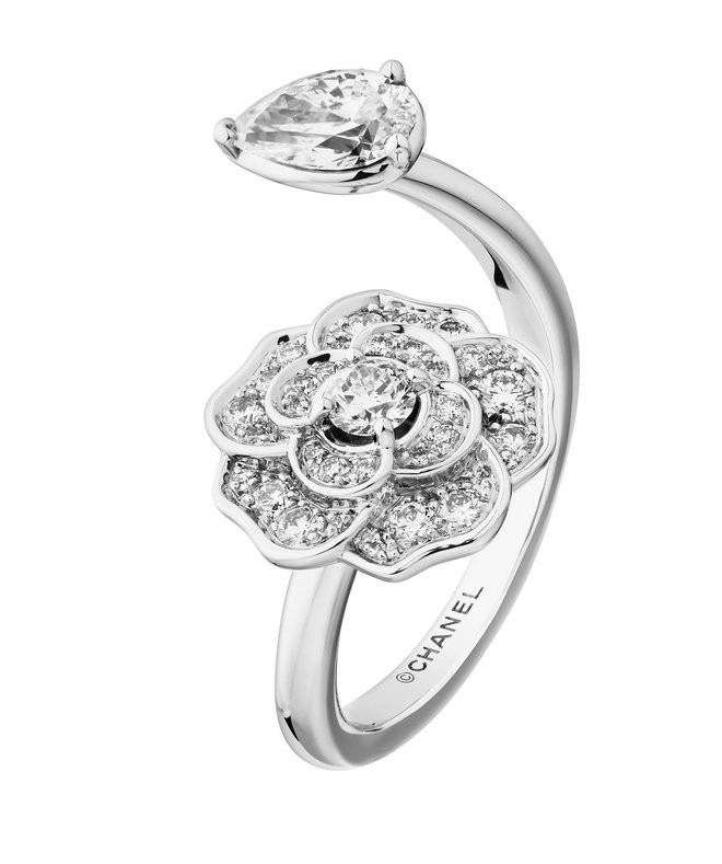 Bouton de Camélia 1