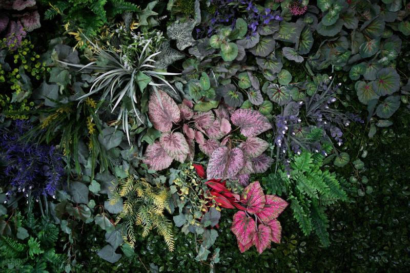 DSC09314