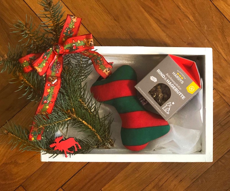 Double Trouble Dog Boutique 1