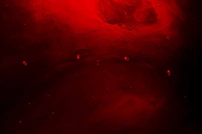 Maja Strgar Kurecic Other Worlds 1