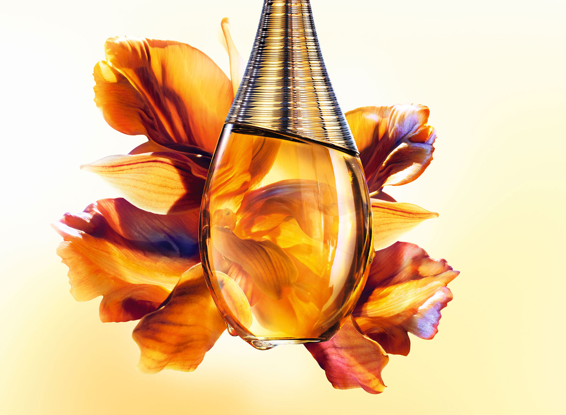 Dior Jadore Intense2