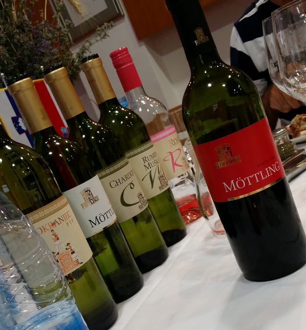 metlika 6