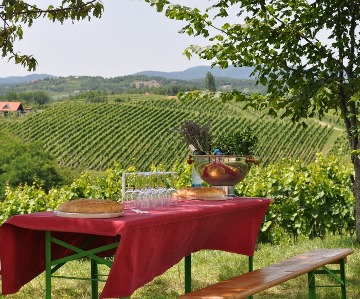 metlika vinogradi