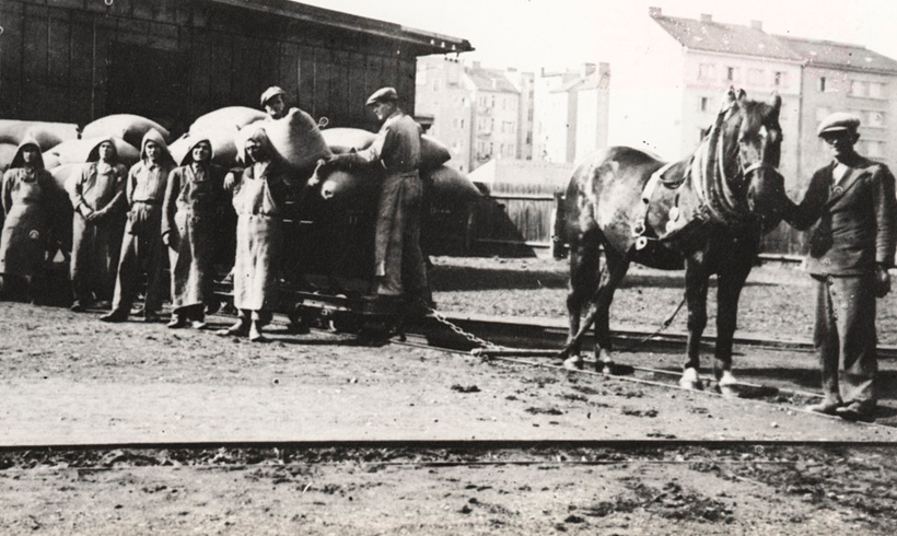 Zvijezda Palmoticeva