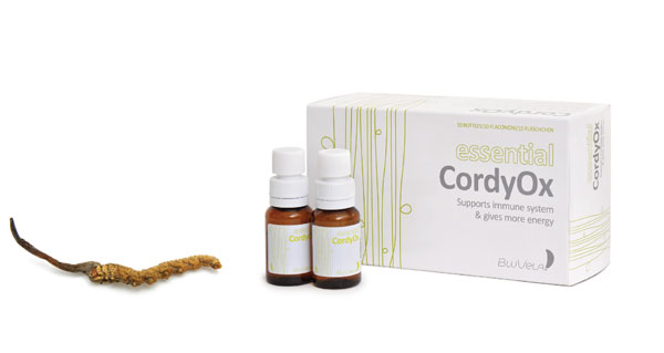 cordyox cr