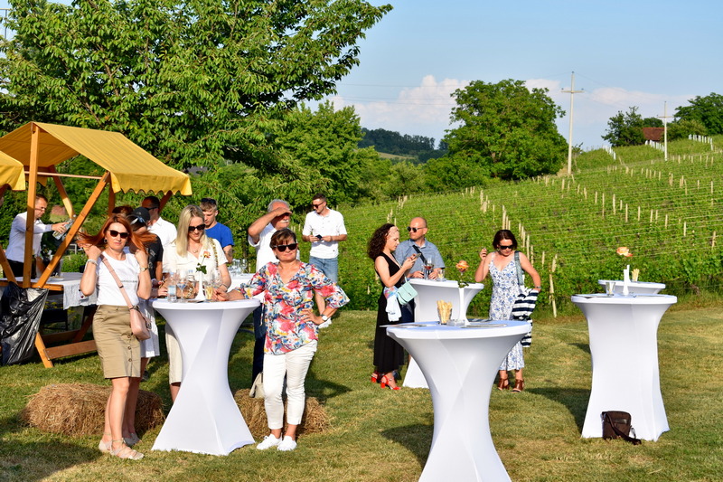 zalazak u vinogradu 4