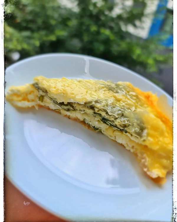 food majstorica zeljanica3